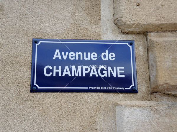Avenue de Champagne, Épernay, France, 2014