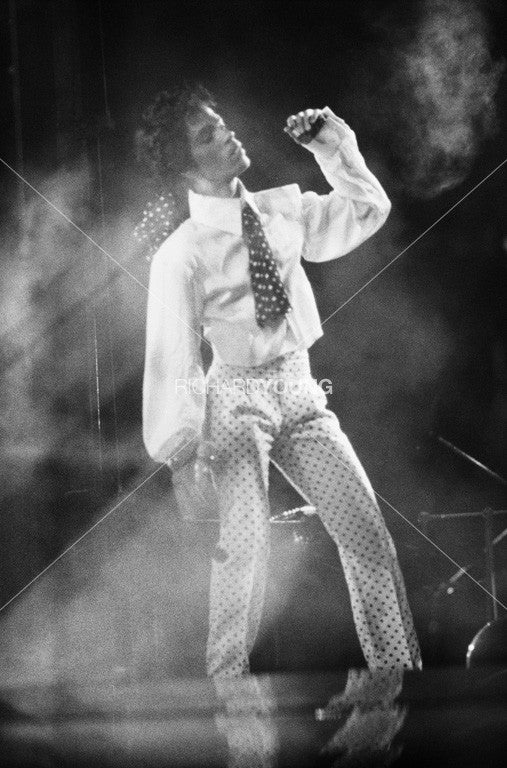 Prince in Concert, Wembley Arena,  London, 1988